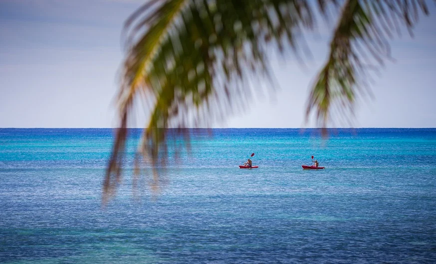 Paradise Found in Puerto Aventuras