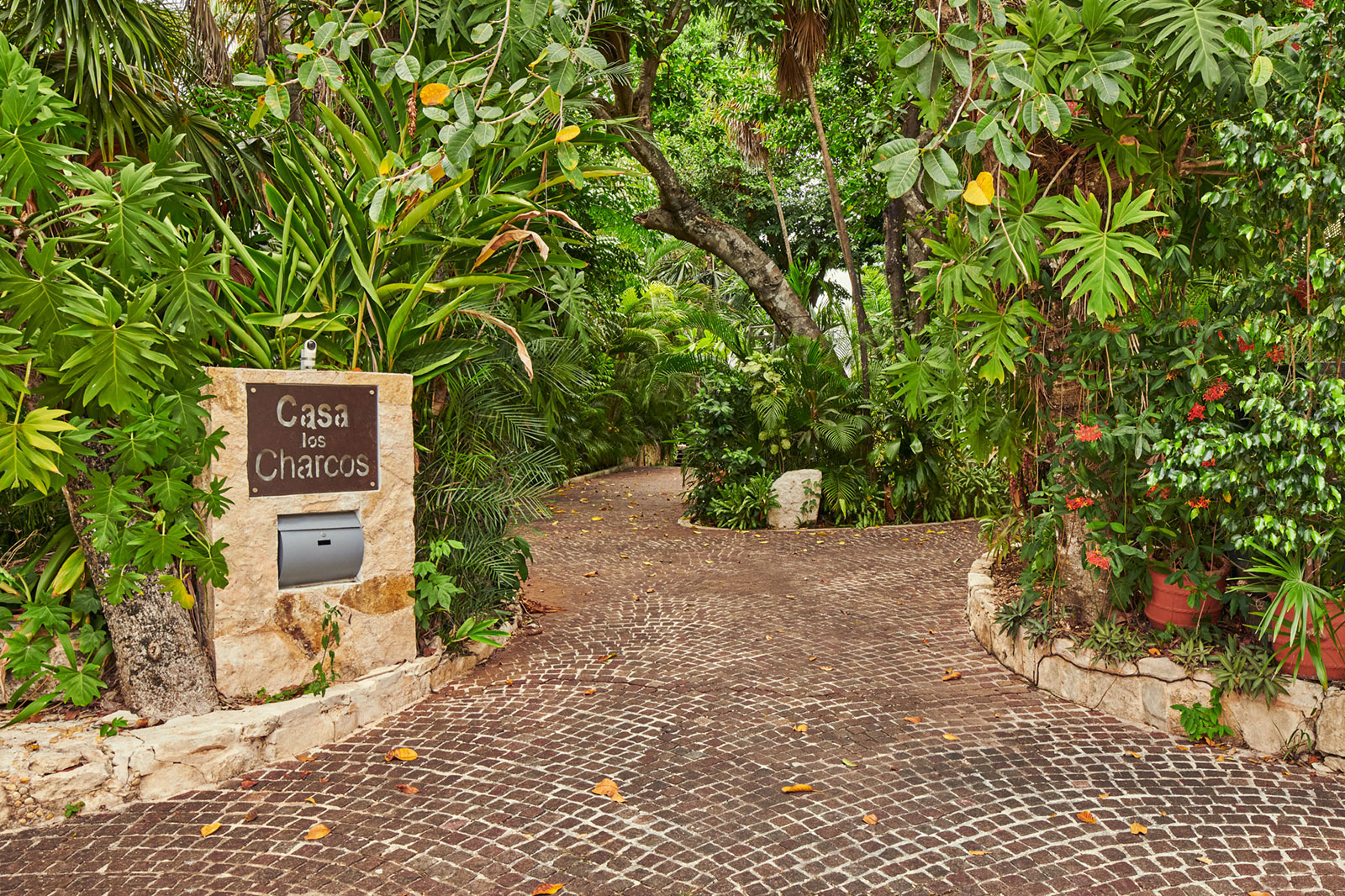 Maya_Luxe_Riviera_Maya_Luxury_Villas_Experiences_Playacarphase1_Casa_Los_Charcos_2023_35