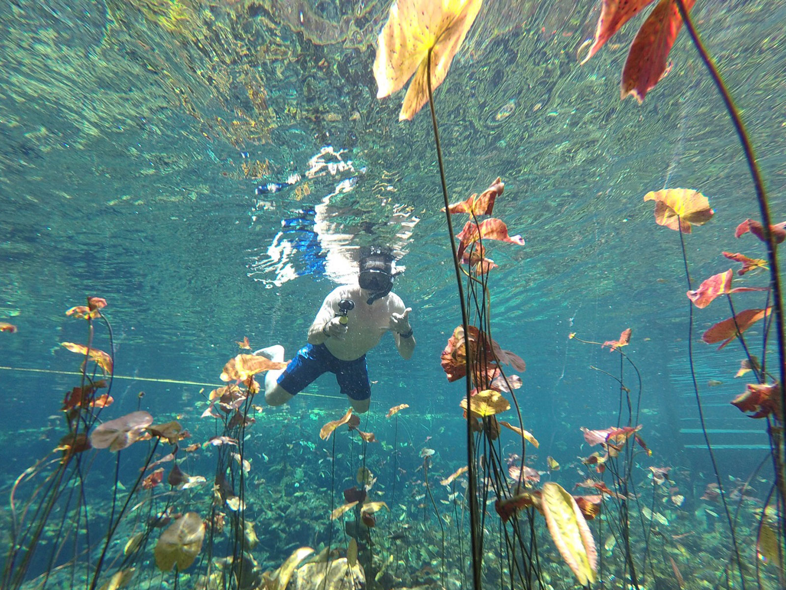 Maya_Luxe_Riviera_Maya_Luxury_Vacations_Mexico_What_to_Do_Playa_del_Carmen_Cancun_Tulum_Experiences_Mayan_Jungle_Experience_6