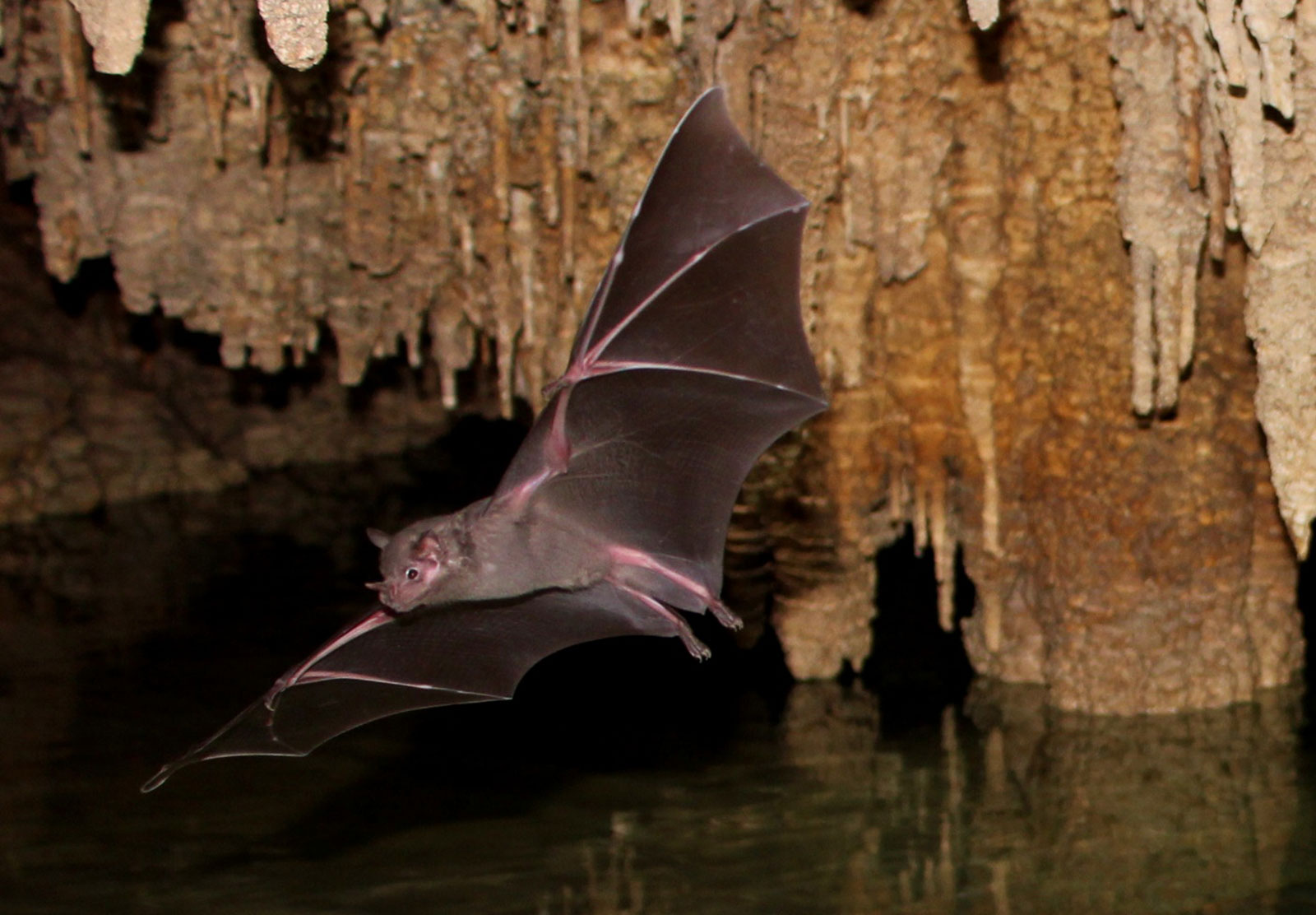 Maya_Luxe_Riviera_Maya_Luxury_Vacations_Mexico_What_to_Do_Tulum_Coba_Experiences_Discover_Mayan_Underworld_6