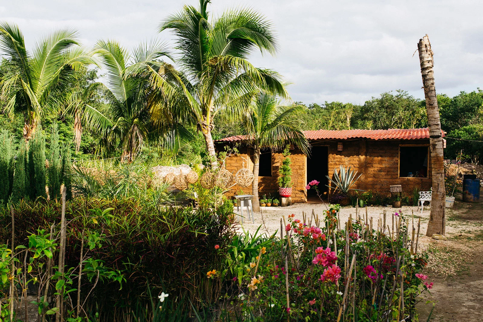 Making Houses Out of Seaweed