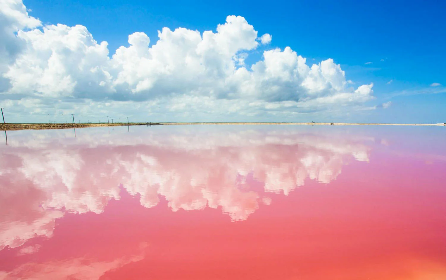 Pink Magic of Yucatán