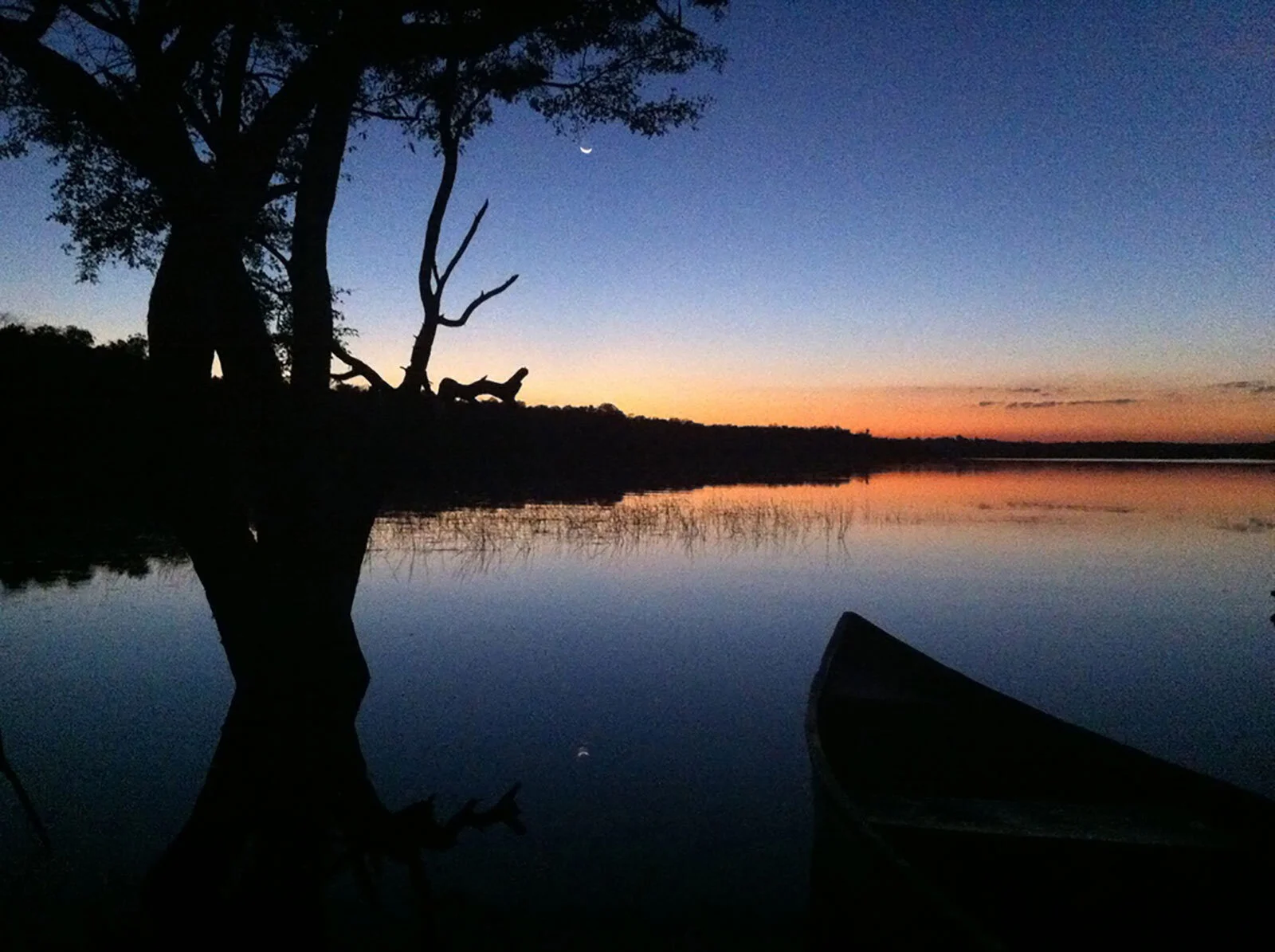 Punta Laguna: The Home of the Puma and the Monkey