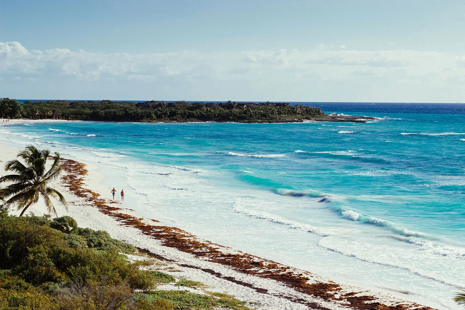 How the Pandemic has Helped to Restore the Health of Our Beaches
