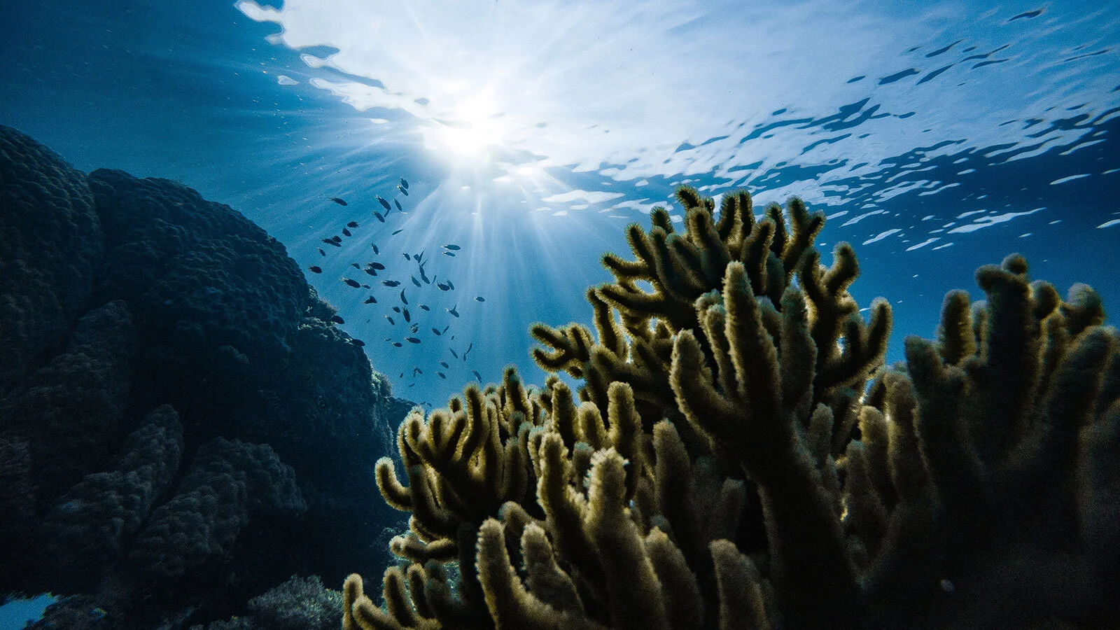 This Earth Day, We Rise for our Planet