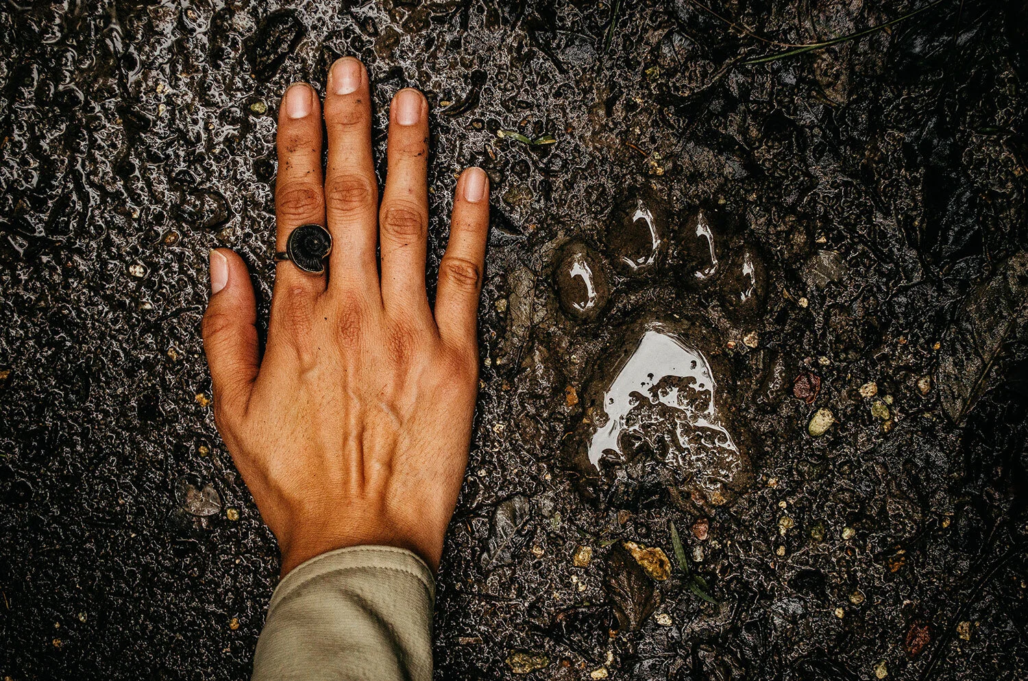 Of People and Nature: A Guide to Community Tourism in the Riviera Maya