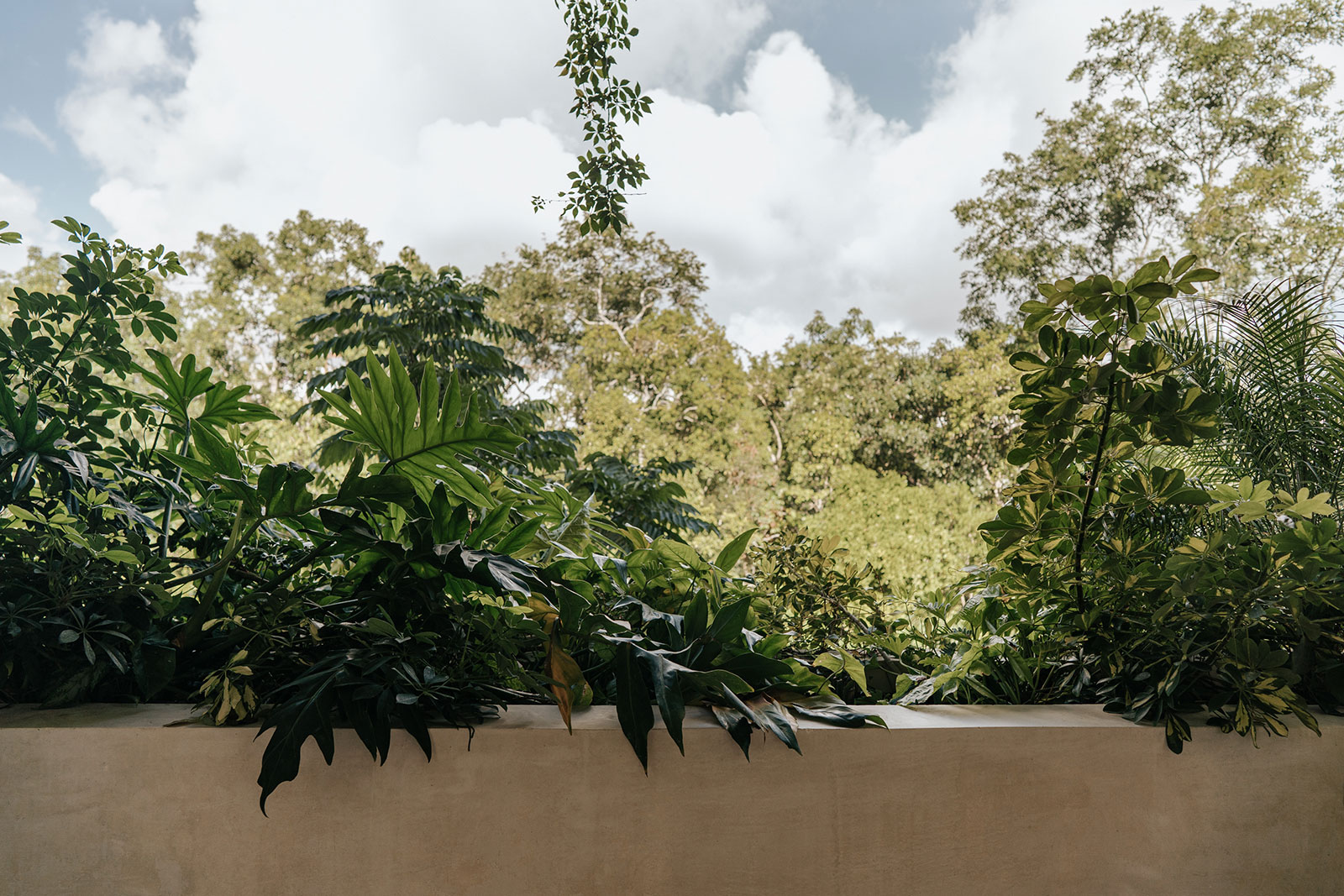 Maya_Luxe_Riviera_Maya_Tulum_Aldea_Zama_Villa_Virginia_22