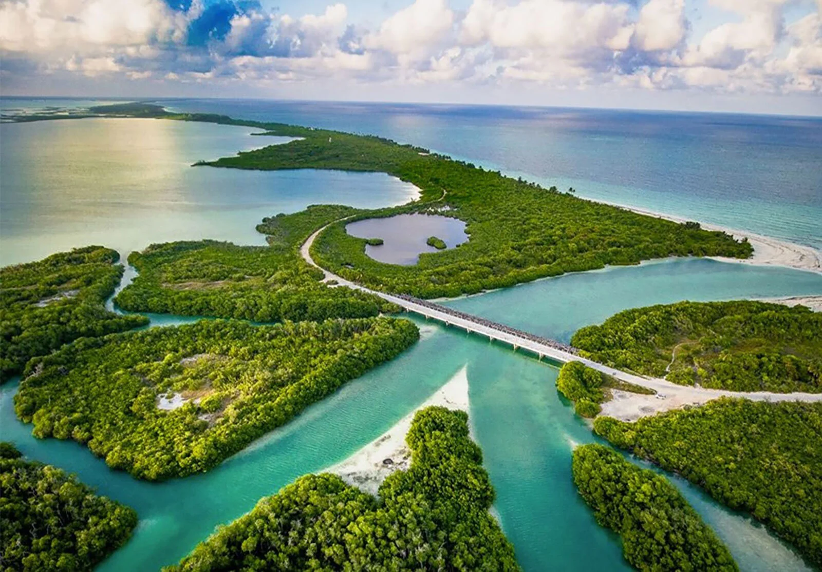 7 Inspiring Organizations that Are Leading Environmental Action in the Riviera Maya