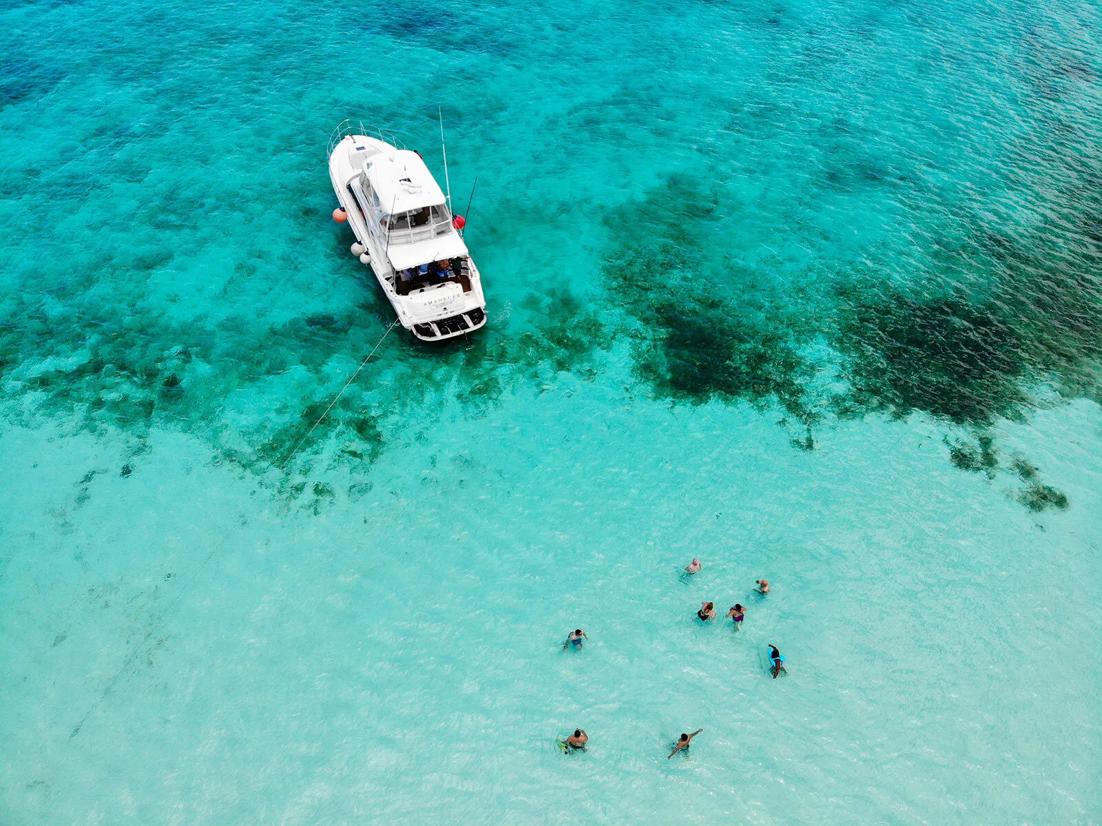 El Cielo, Palancar, and Colombia: The Gems that Make Cozumel an Underwater Eden