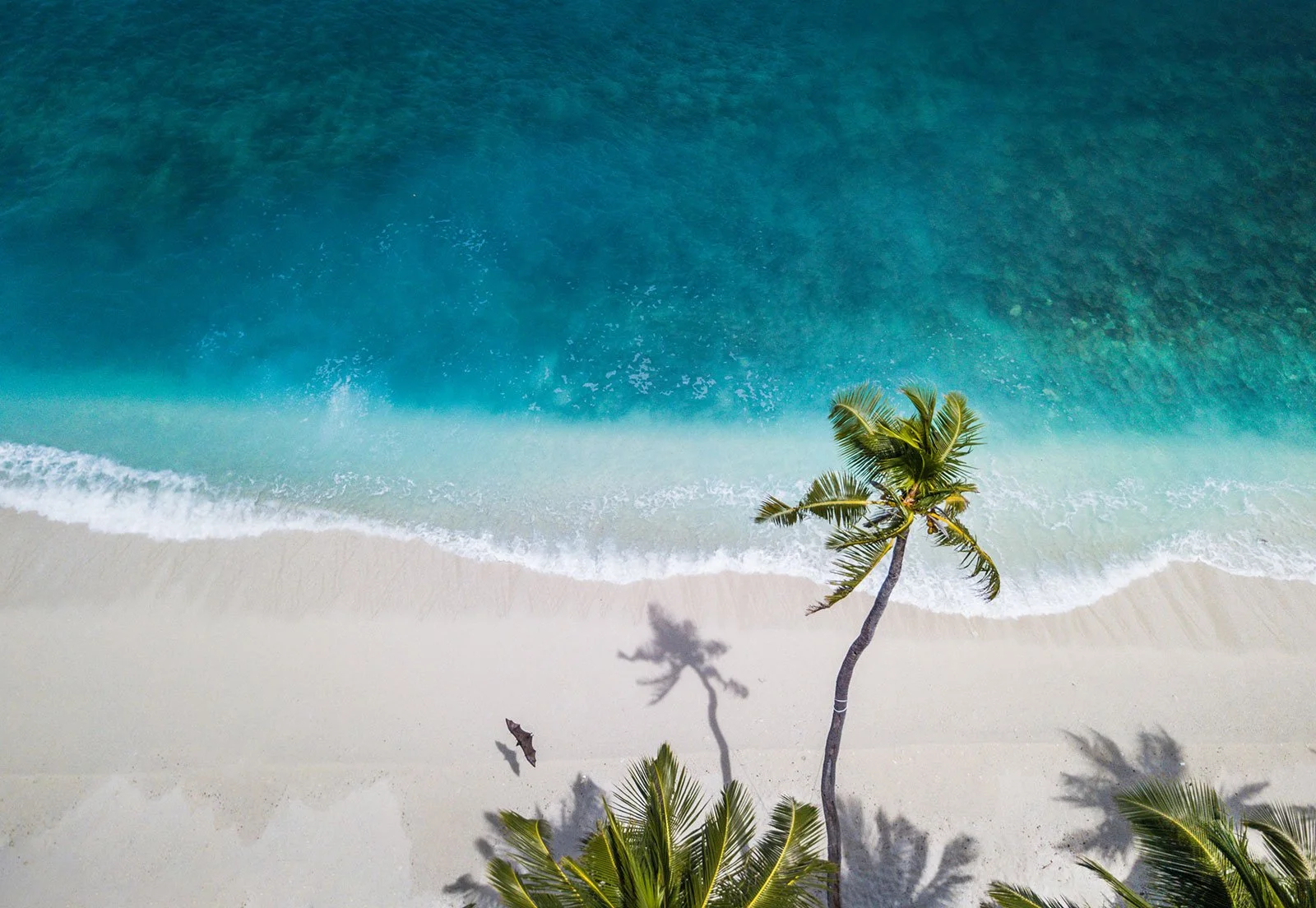 A Guide to the Beaches of Cozumel