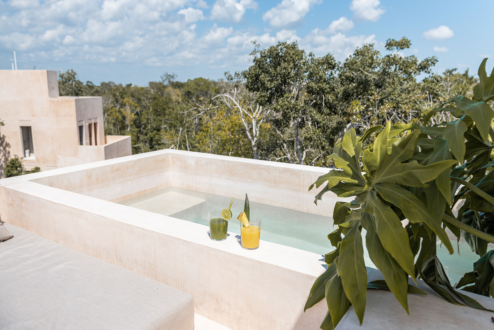 Candela Uno in Tulum Rooftop plunge pool