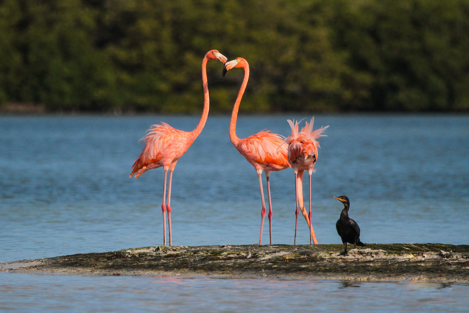 Maya_Luxe_Riviera_Maya_Luxury_Exeperiences_Mexico_Rio_Lagartos_Pink_Lakes_Expedition_10