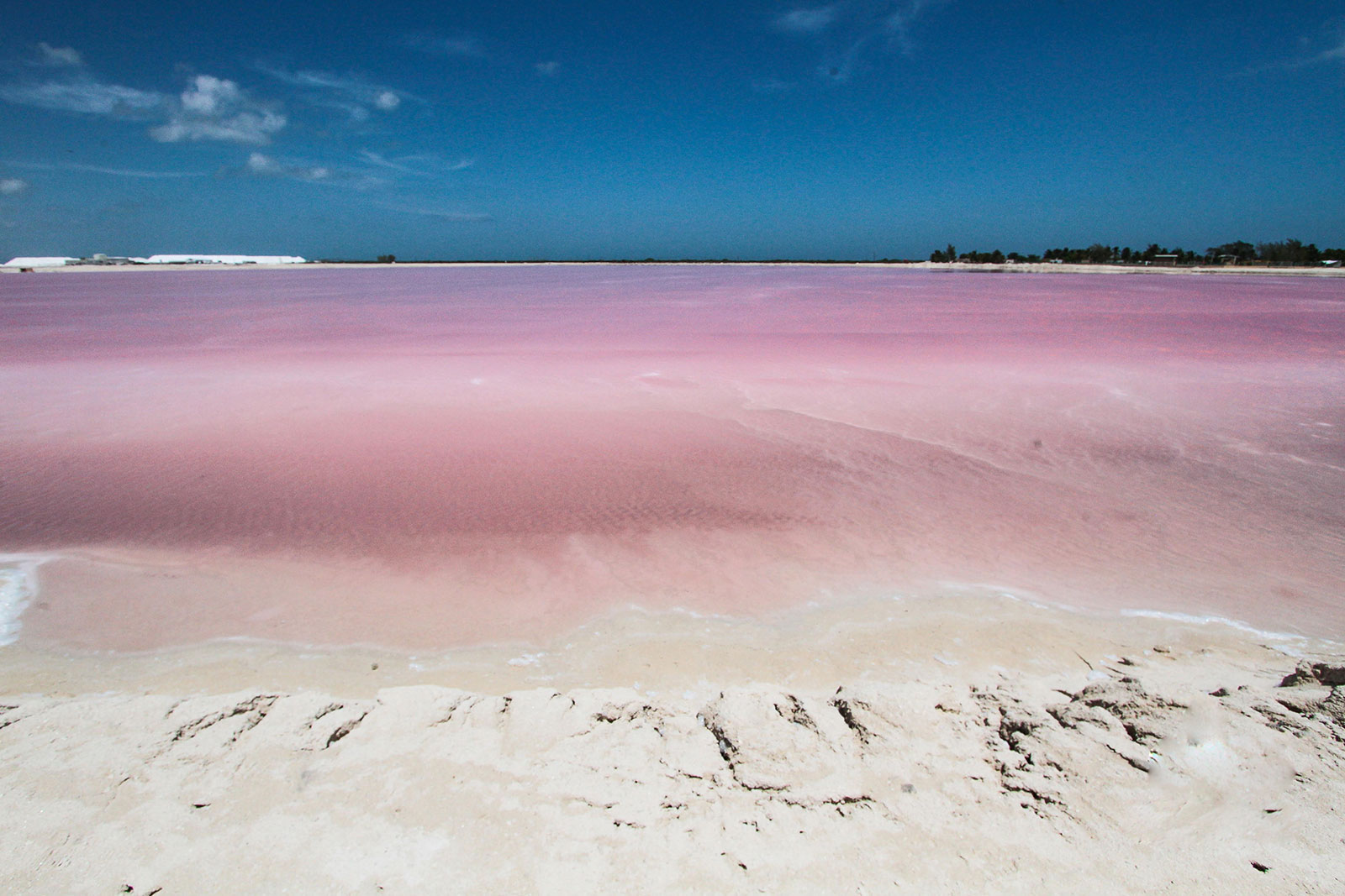 Maya_Luxe_Riviera_Maya_Luxury_Exeperiences_Mexico_Rio_Lagartos_Pink_Lakes_Expedition_21