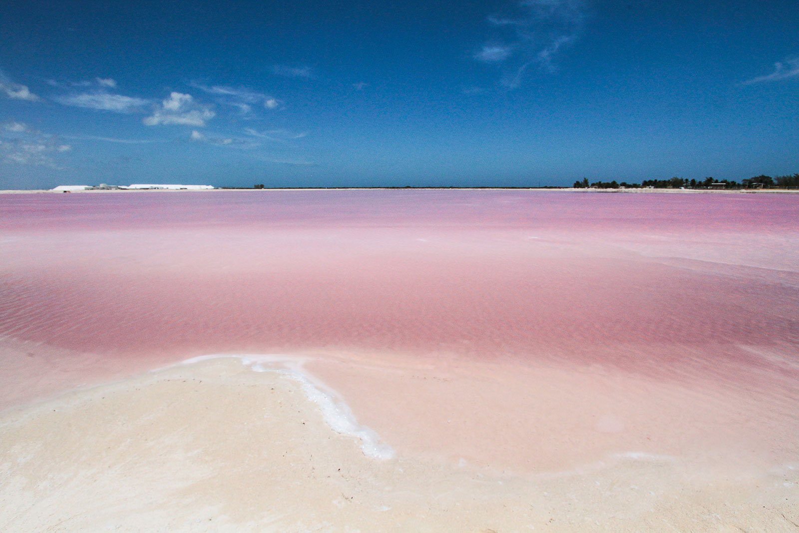 Maya_Luxe_Riviera_Maya_Luxury_Exeperiences_Mexico_Rio_Lagartos_Pink_Lakes_Expedition_22