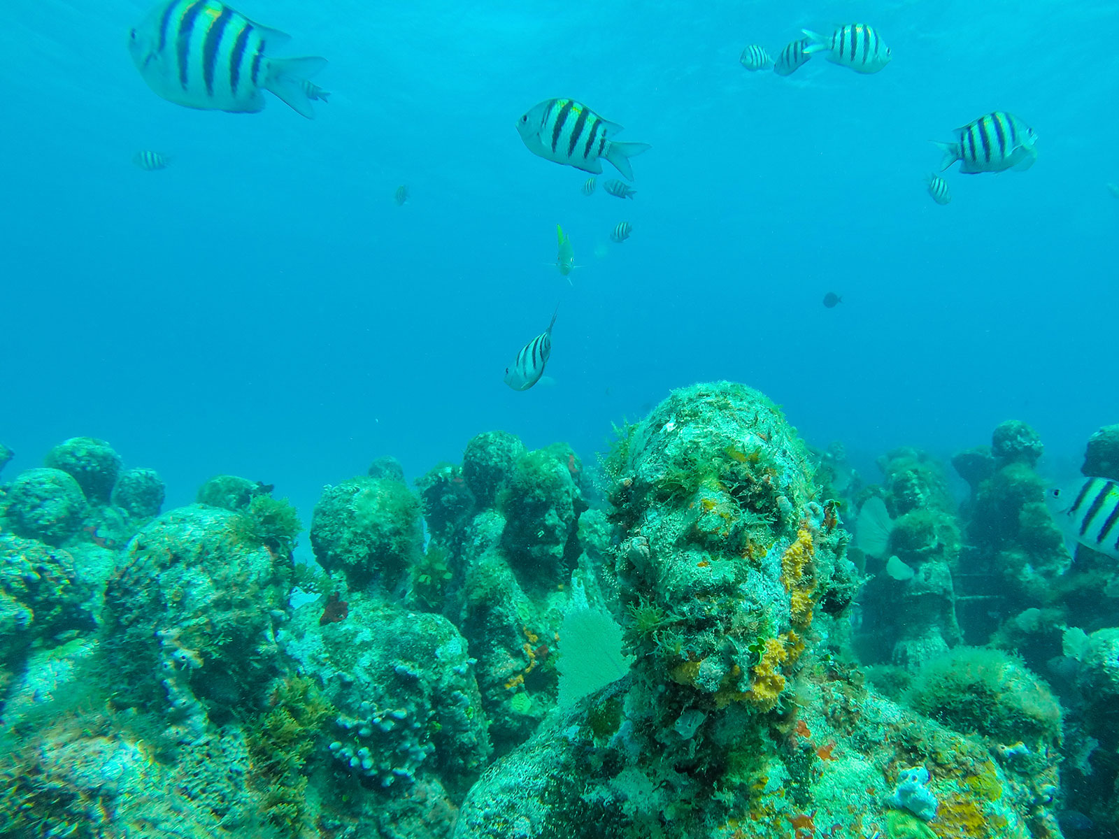 Maya_Luxe_Riviera_Maya_Luxury_Vacations_Mexico_Isla_Mujeres_Snorkel_Discovery_17