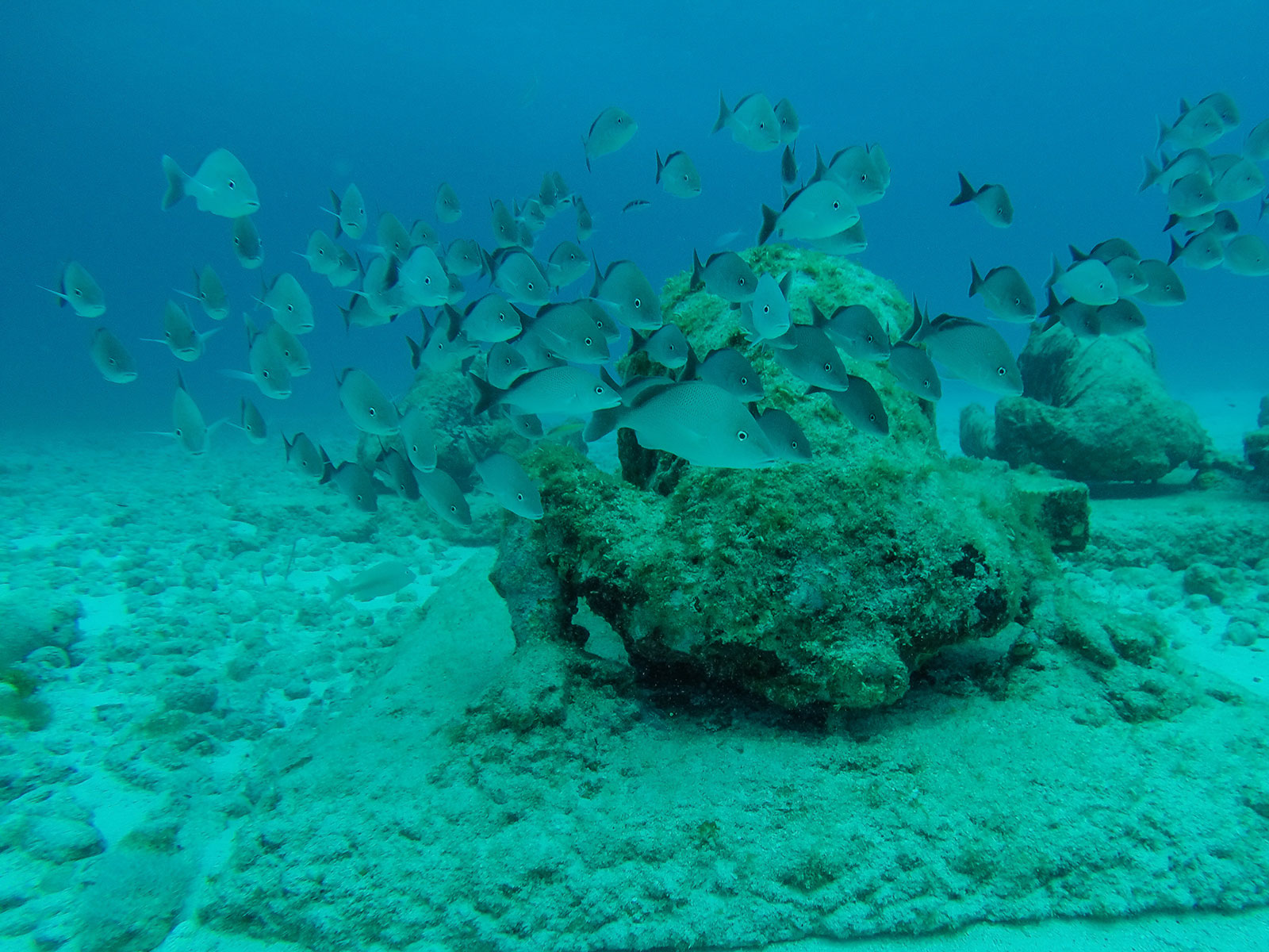 Maya_Luxe_Riviera_Maya_Luxury_Vacations_Mexico_Isla_Mujeres_Snorkel_Discovery_18