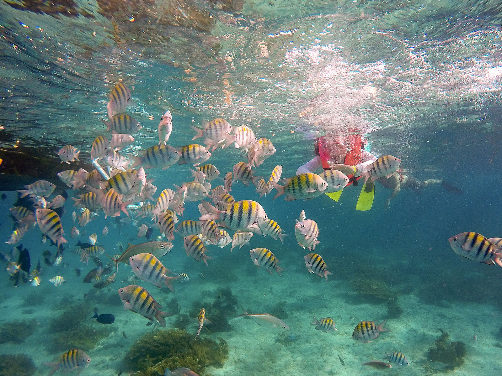 Maya_Luxe_Riviera_Maya_Luxury_Vacations_Mexico_Isla_Mujeres_Snorkel_Discovery_23
