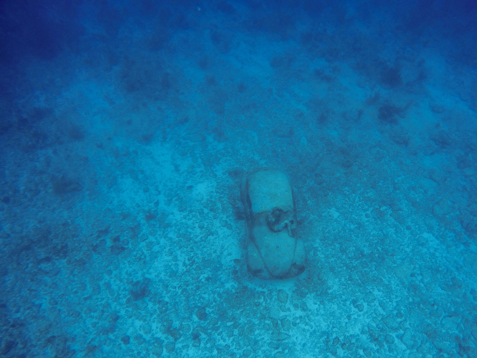 Maya_Luxe_Riviera_Maya_Luxury_Vacations_Mexico_Isla_Mujeres_Snorkel_Discovery_30