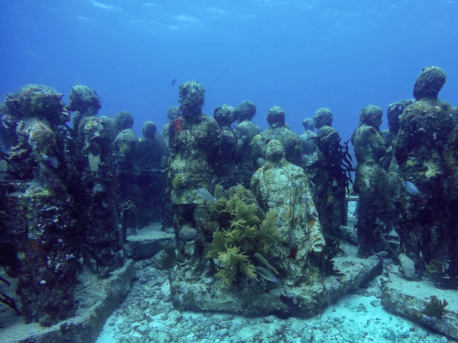 Maya_Luxe_Riviera_Maya_Luxury_Vacations_Mexico_Isla_Mujeres_Snorkel_Discovery_31
