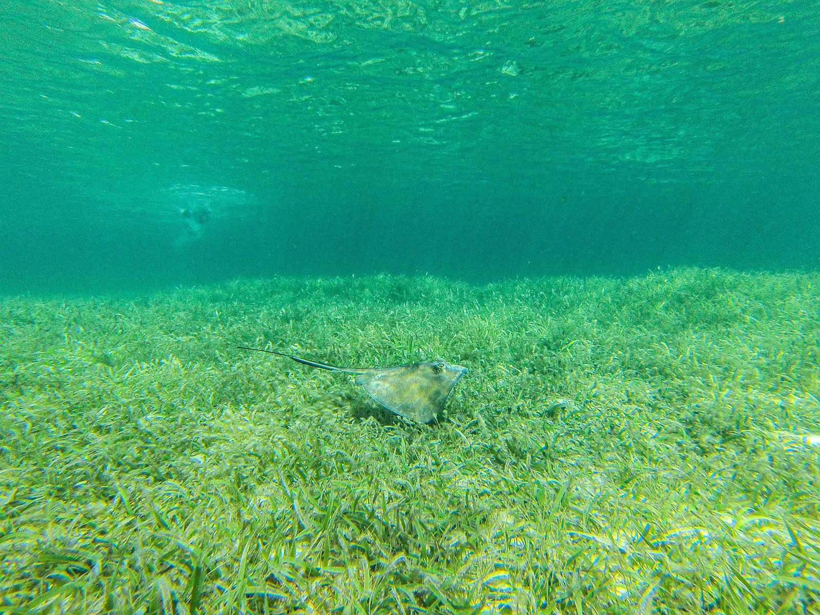 Maya_Luxe_Riviera_Maya_Luxury_Vacations_Mexico_Puerto_Morelos_Snorkel_Adventure_11