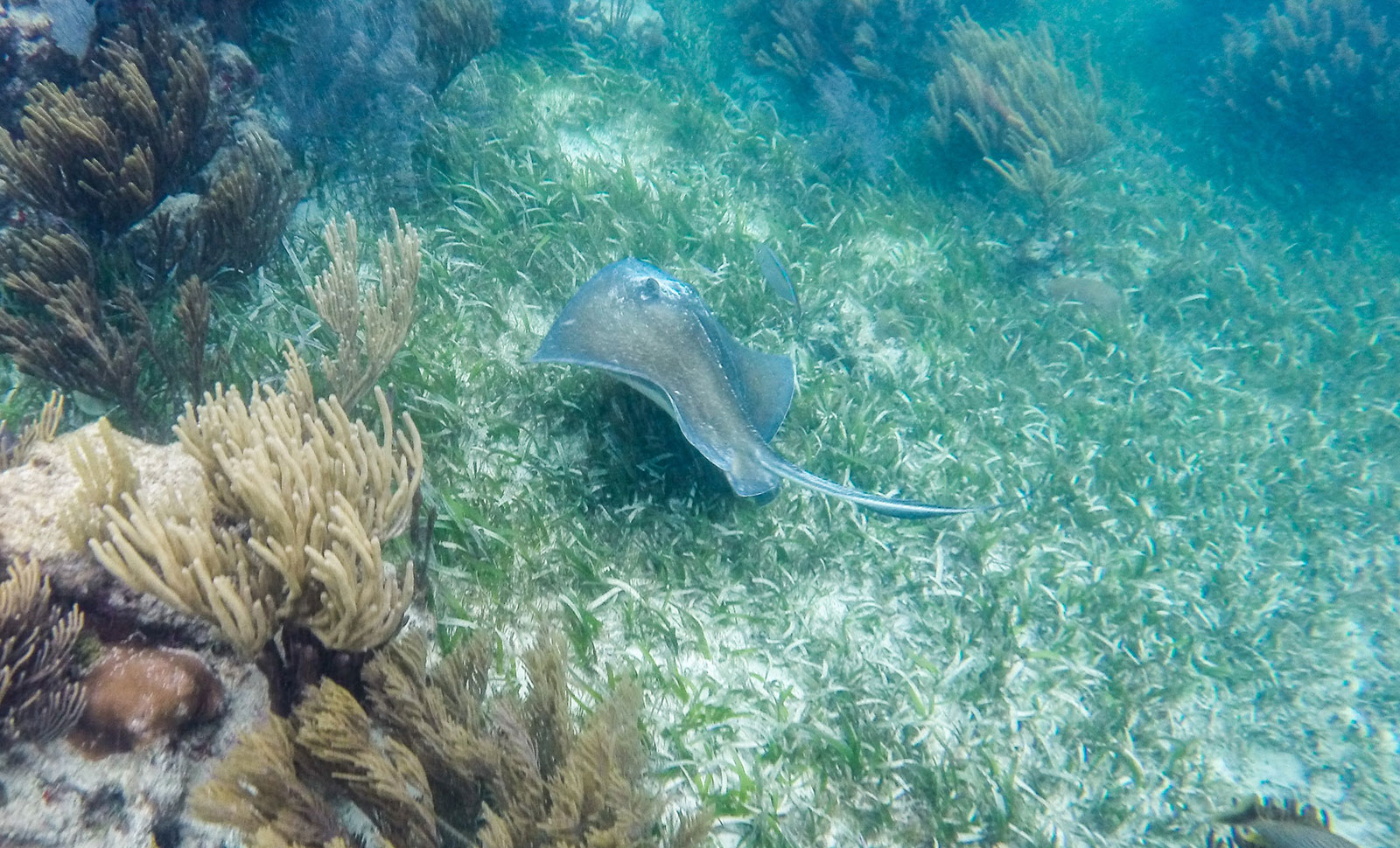Maya_Luxe_Riviera_Maya_Luxury_Vacations_Mexico_Puerto_Morelos_Snorkel_Adventure_13