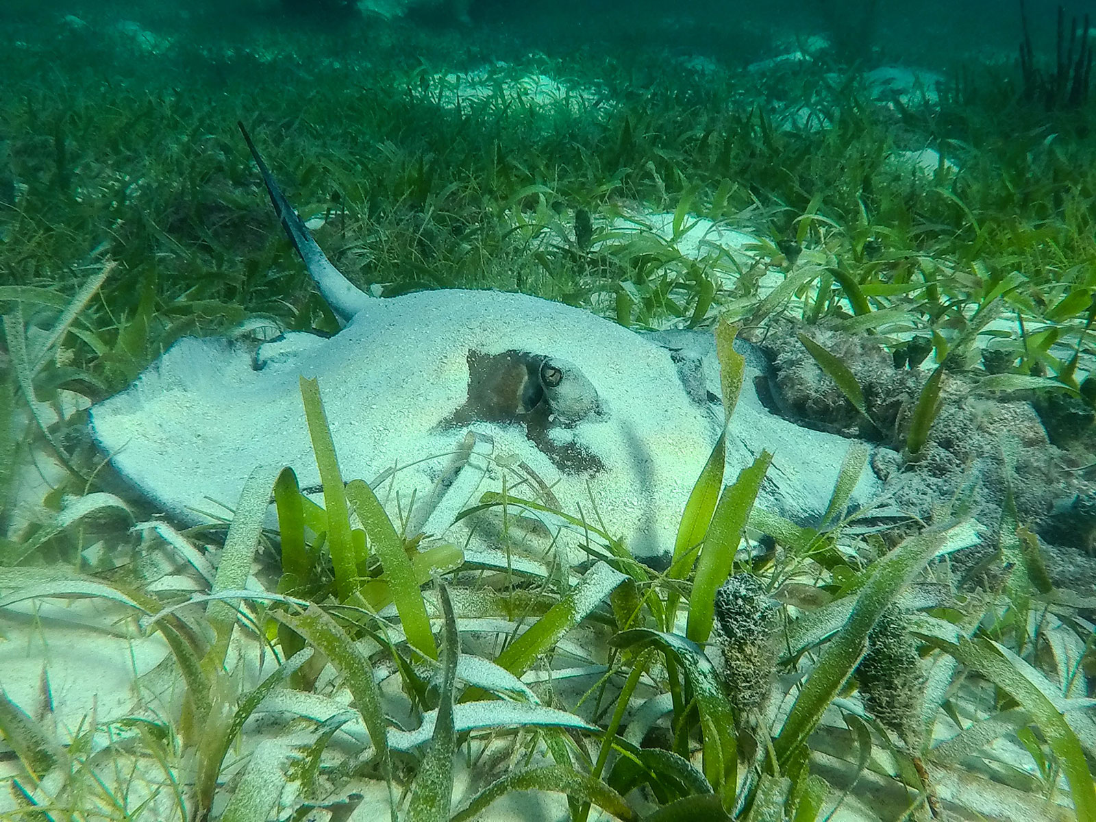 Maya_Luxe_Riviera_Maya_Luxury_Vacations_Mexico_Puerto_Morelos_Snorkel_Adventure_200727_puerto_morelos_nowm-30