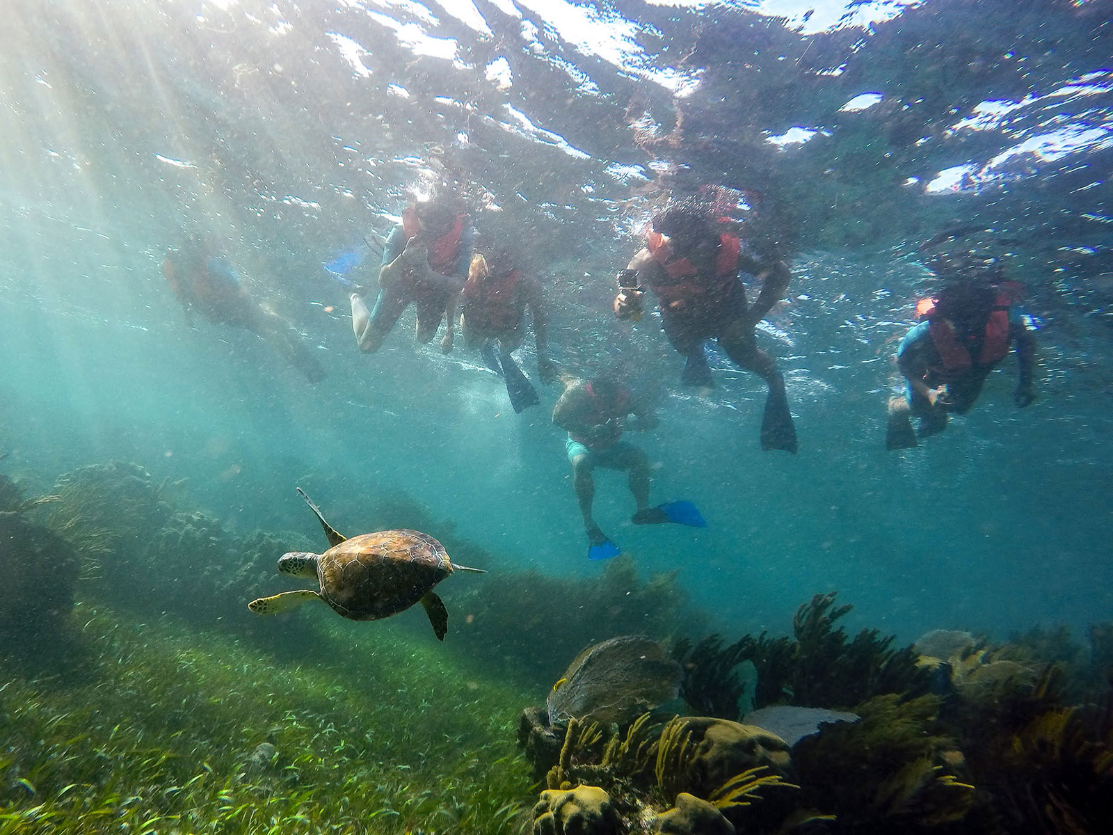 Maya_Luxe_Riviera_Maya_Luxury_Vacations_Mexico_Puerto_Morelos_Snorkel_Adventure_200727_puerto_morelos_nowm-35