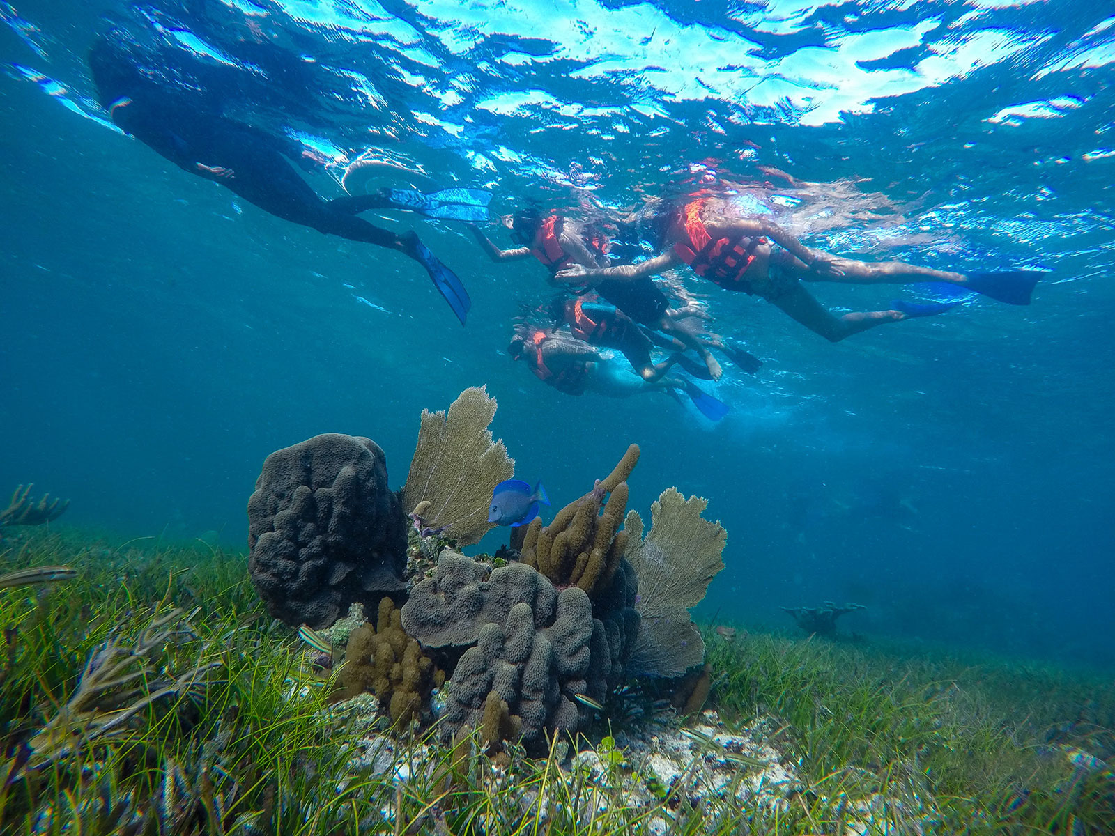 Maya_Luxe_Riviera_Maya_Luxury_Vacations_Mexico_Puerto_Morelos_Snorkel_Adventure_200727_puerto_morelos_nowm-36