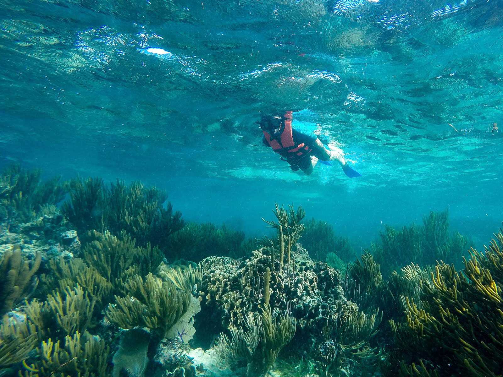 Maya_Luxe_Riviera_Maya_Luxury_Vacations_Mexico_Puerto_Morelos_Snorkel_Adventure_200727_puerto_morelos_nowm-42