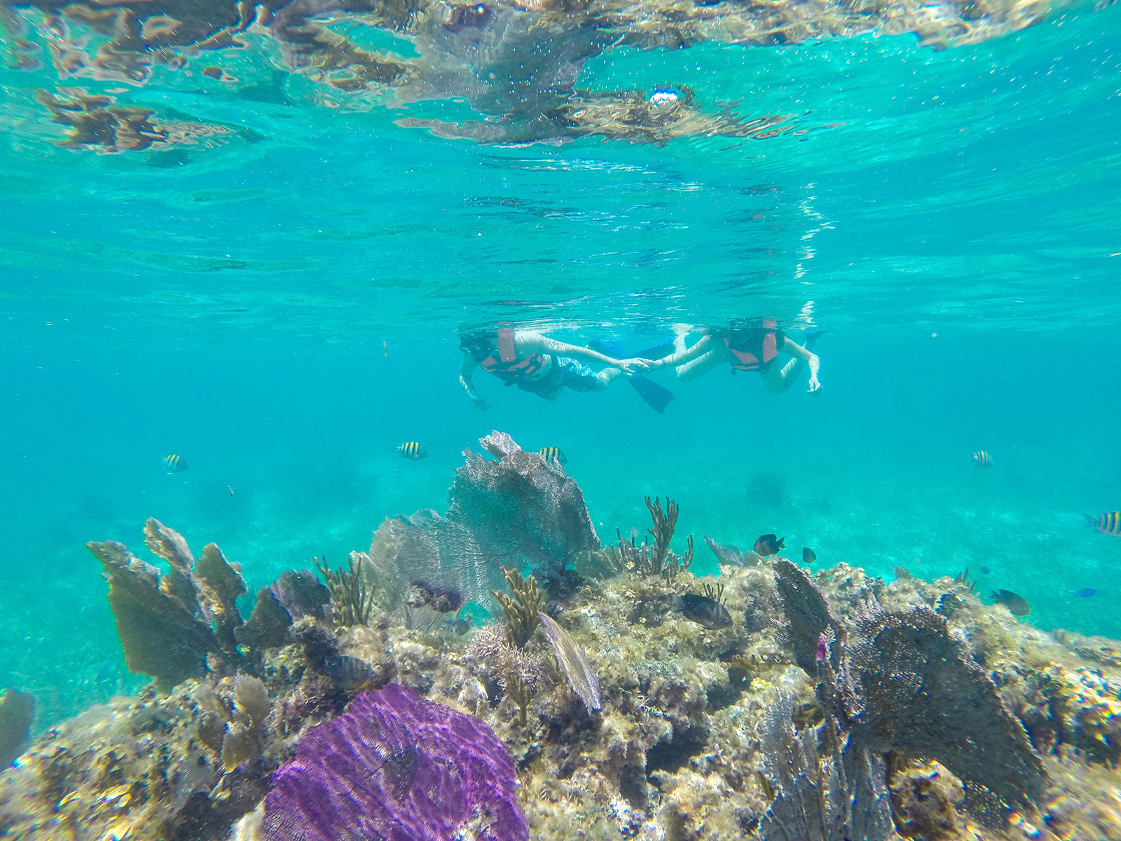 Maya_Luxe_Riviera_Maya_Luxury_Vacations_Mexico_Puerto_Morelos_Snorkel_Adventure_200727_puerto_morelos_nowm-44