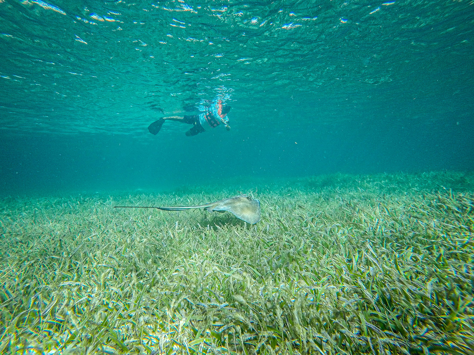 Maya_Luxe_Riviera_Maya_Luxury_Vacations_Mexico_Puerto_Morelos_Snorkel_Adventure_4