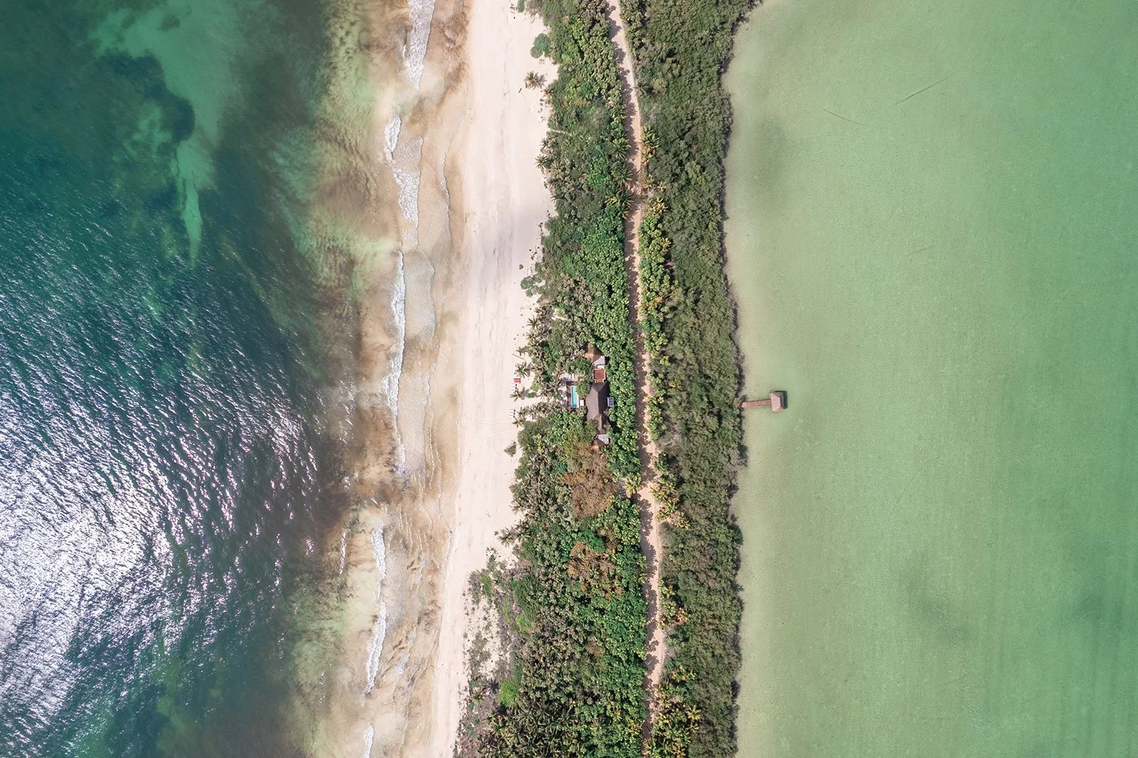 A Night in the Biosphere: Cross Over Into Nature at Casa Cantarena