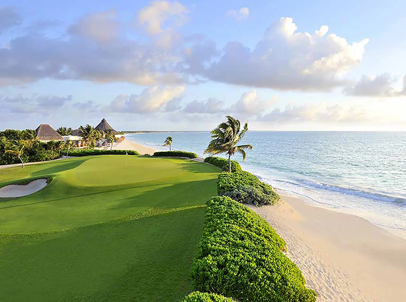 From Golf to Wildlife Adventures,        What to Do in Punta Mita.