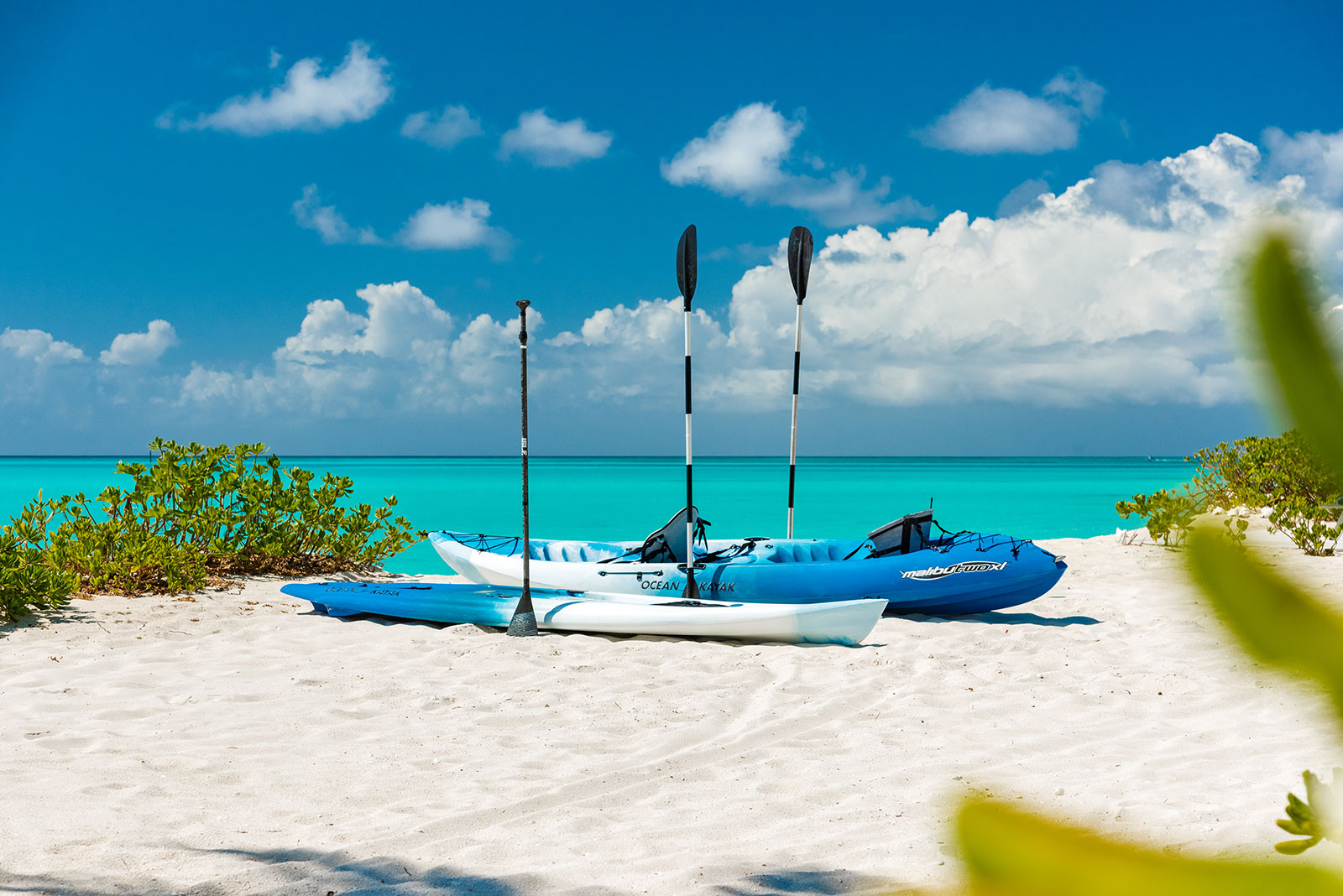 Maya_Luxe_Turks_and_Caicos_Luxury_Villas_Experiences_The_Beach_House_9.1