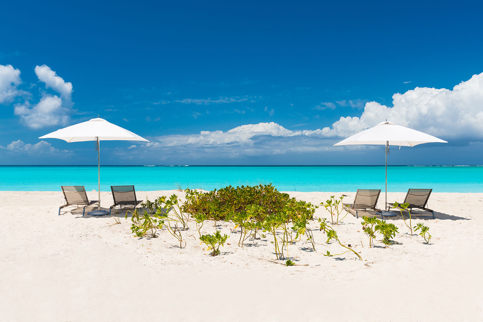 Maya_Luxe_Turks_and_Caicos_Luxury_Villas_Experiences__Hawksbill_4