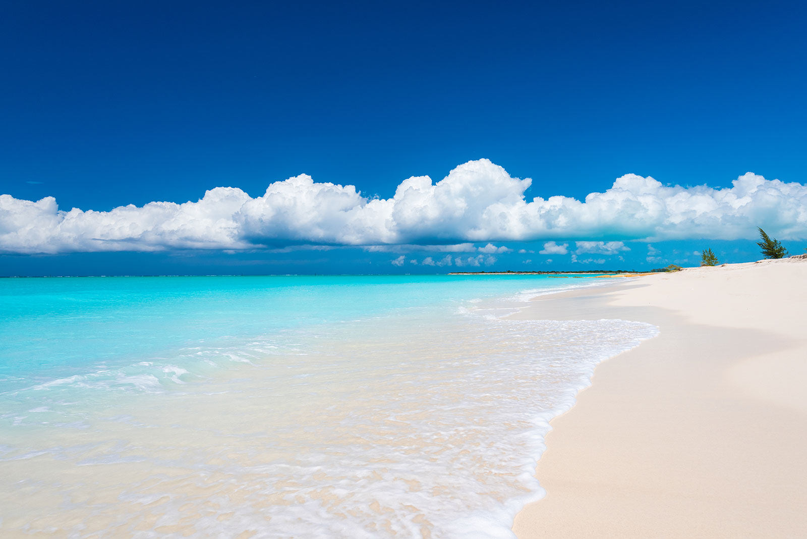 Maya_Luxe_Turks_and_Caicos_Luxury_Villas_Experiences__Hawksbill_6
