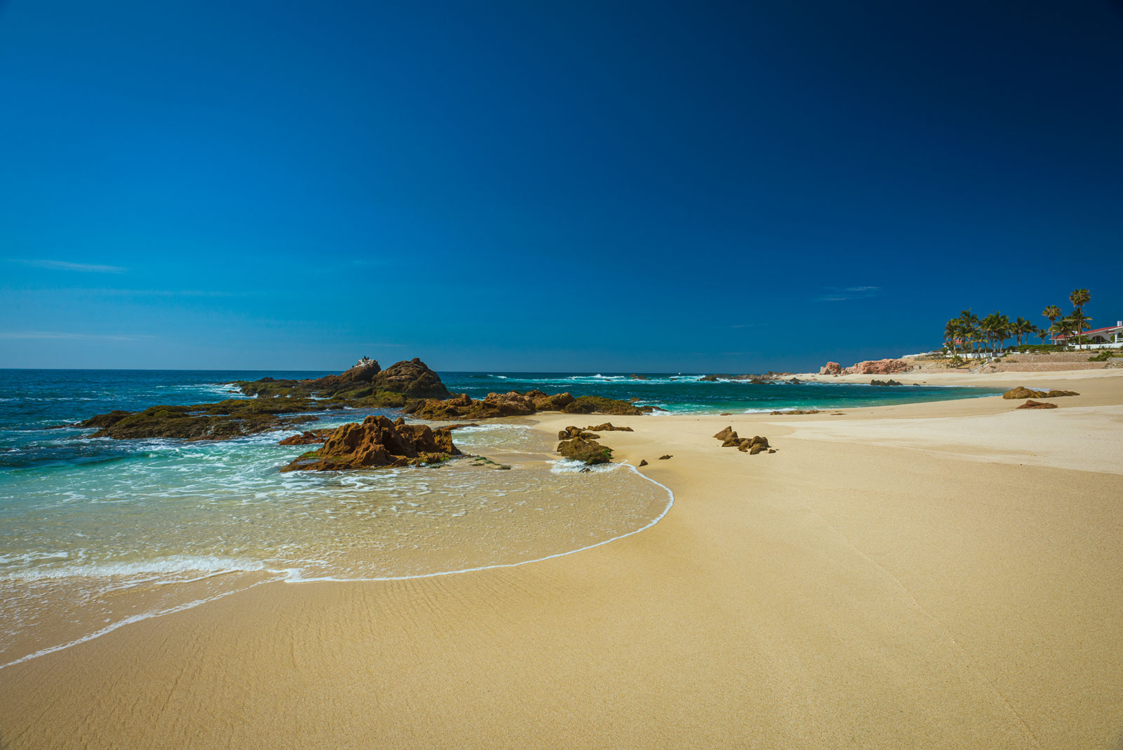 Maya_Luxe_San_Jose_del_Cabo_Luxury_Villas_Experiences_Punta_Bella_Villa_Tortuga_6