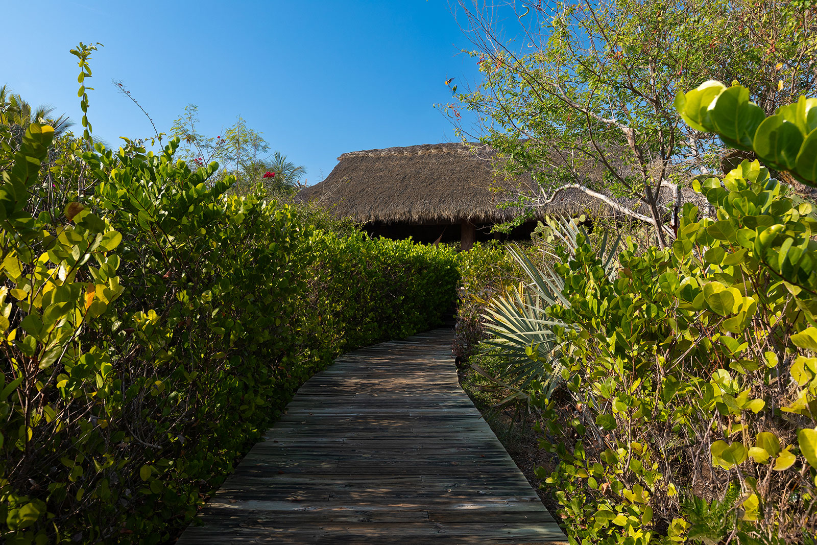Oxaca_Luxe_Luxury_Villas_Villa_los_Gaujes_14
