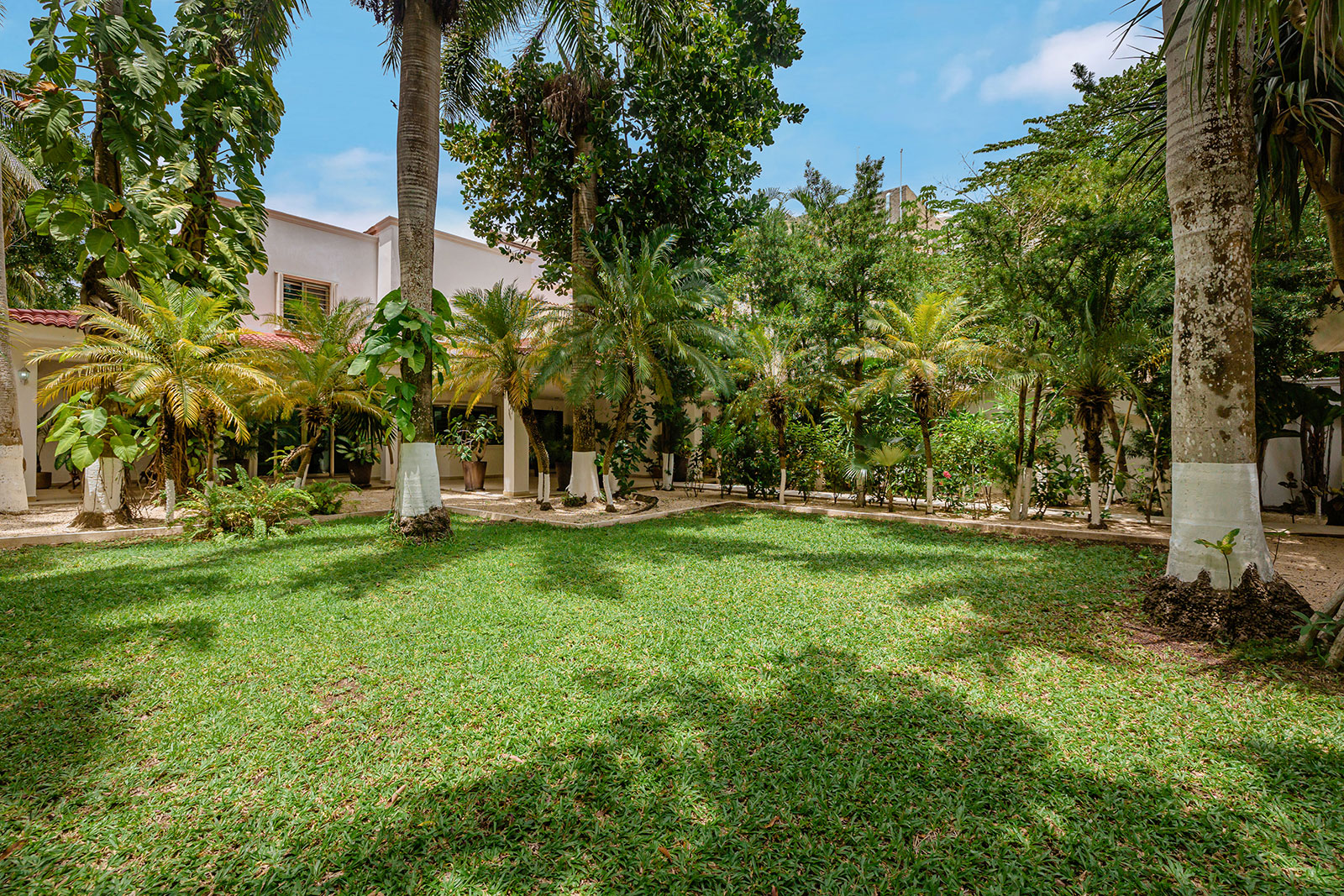 Maya_Luxe_Luxury_Villas_Experiences_Riviera_Maya_Cozumel_Casa_Santa_Pilar__Images-S-37