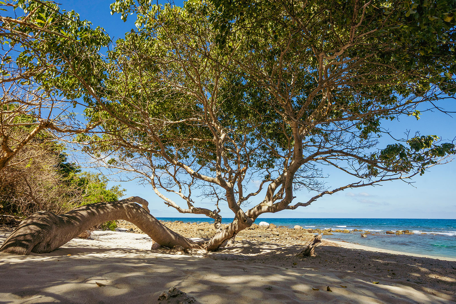 Maya_Luxe_Luxury_Villas_Experiences_Riviera_Nayarit_Punta_Mita_Casa_Koko_Sunrise_70