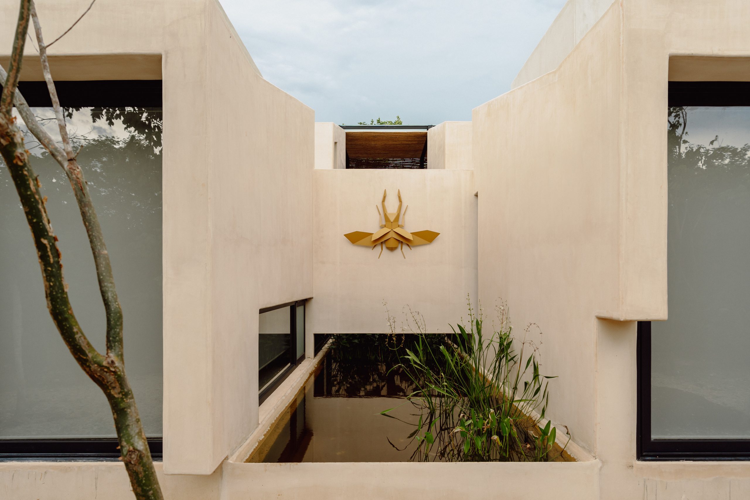Acuatic Garden 1