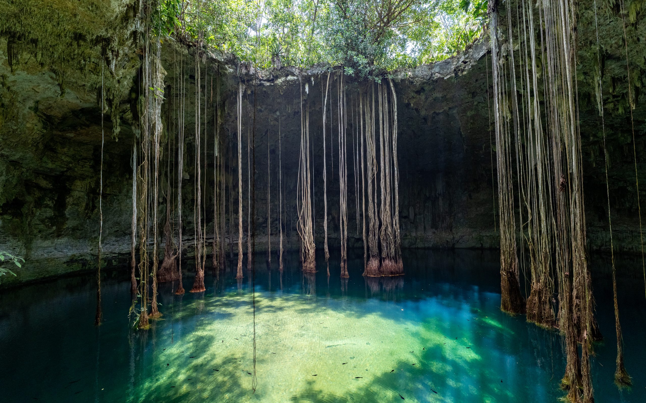 Open Cenote 3