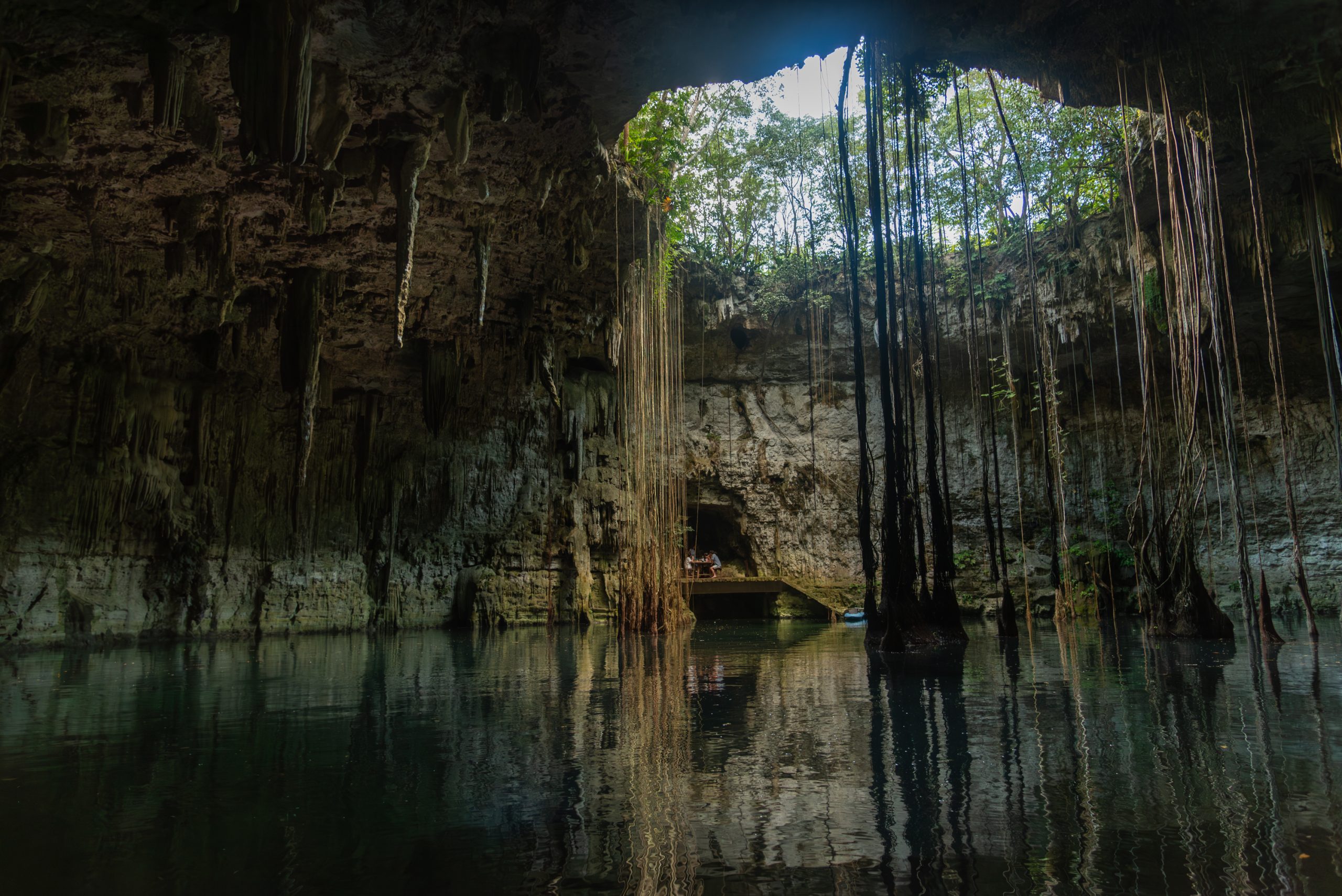 Open Cenote 5