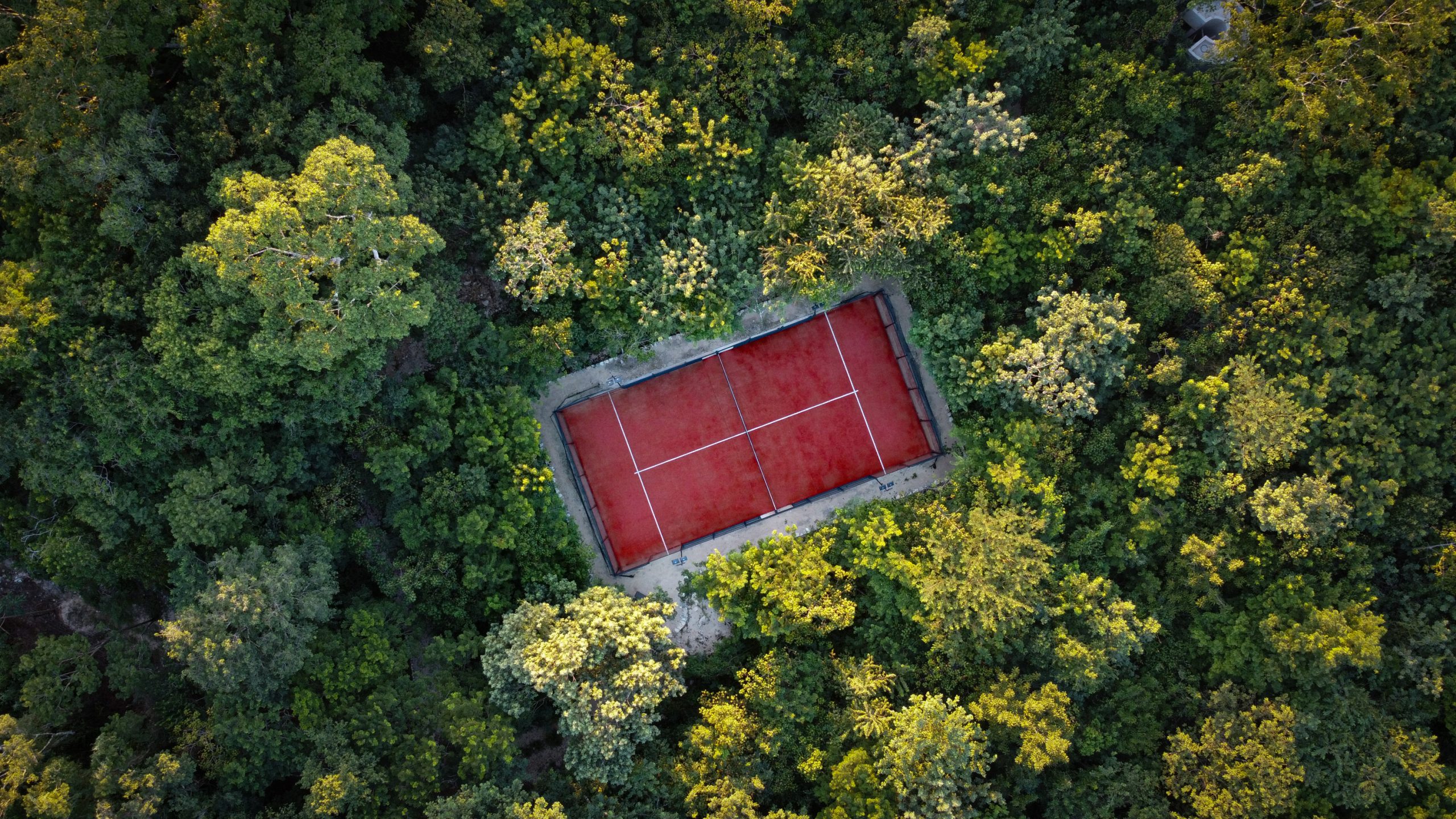 Paddle Tennis 1